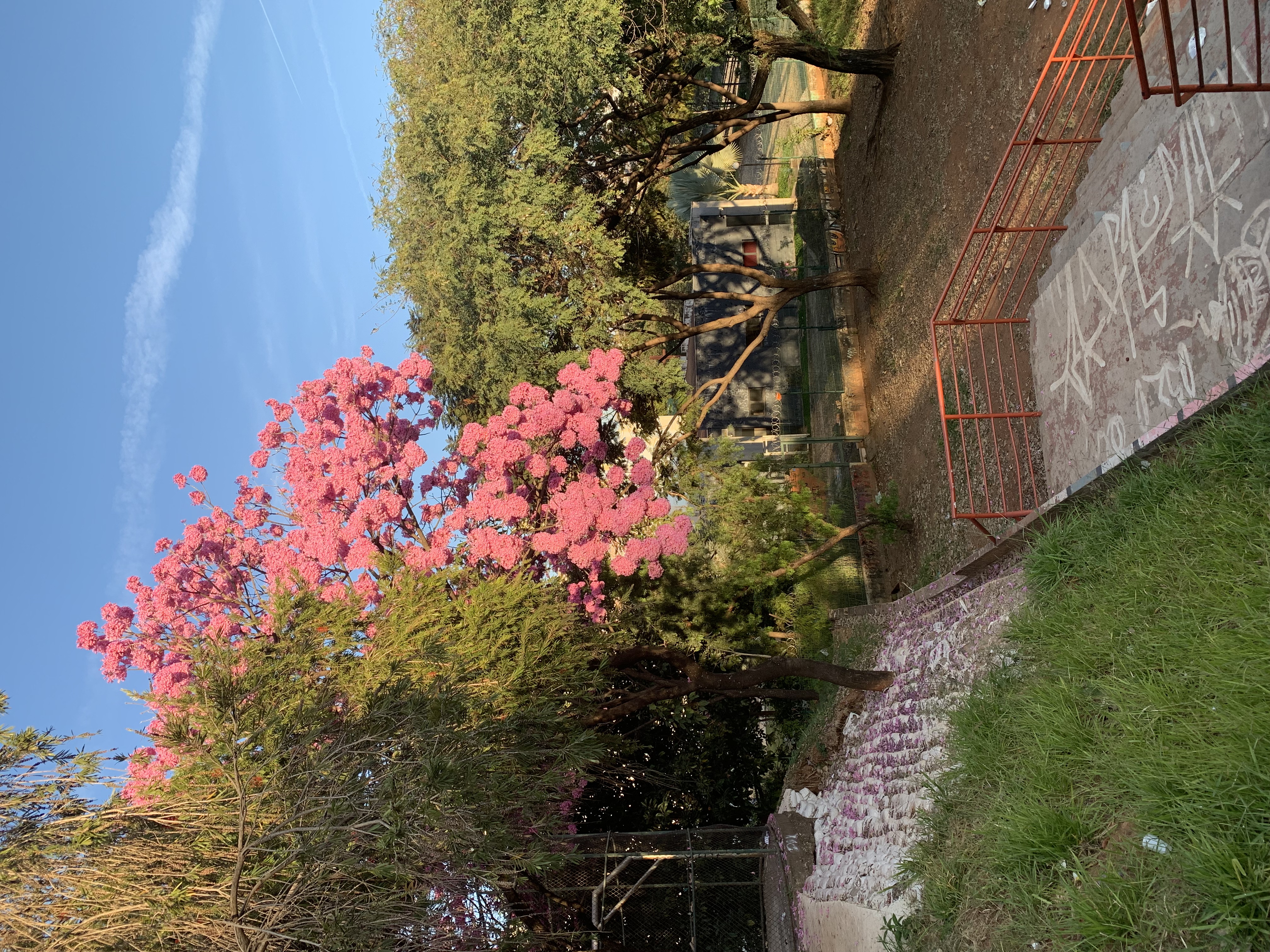 Pr. Cristo Reina / Av. Afonso Vaz de Melo - Barreiro, BHte